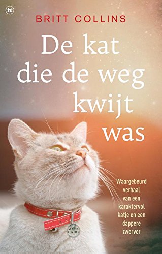 De kat die de weg kwijt was: waargebeurd verhaal van een karaktervol katje en een dappere dakloze book