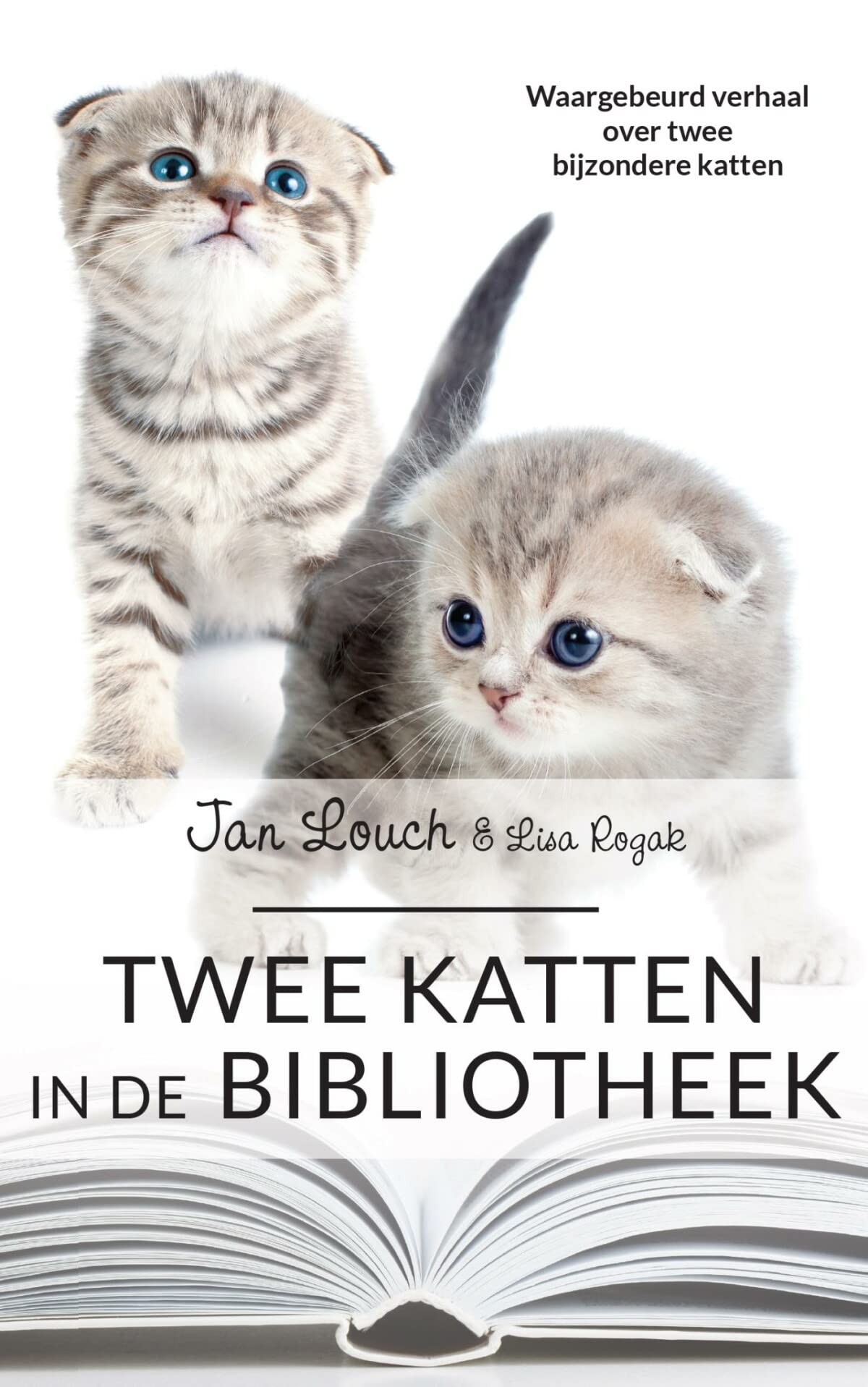 Twee katten in de bibliotheek: waargebeurd verhaal over twee bijzondere katten die het hart van een strenge bibliothecaresse ontdooien book