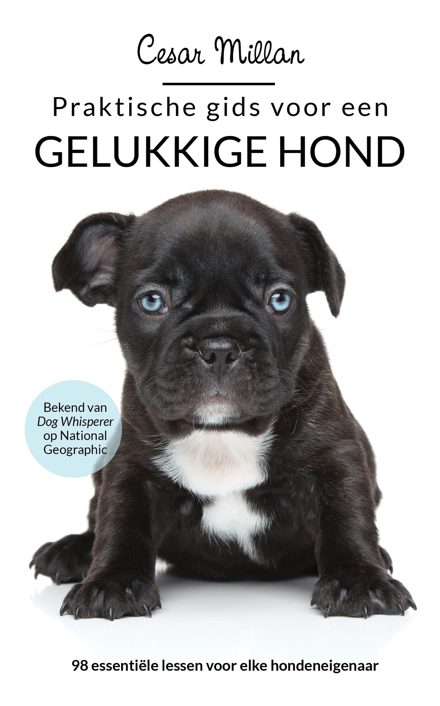 Praktische gids voor een gelukkige hond: 98 tips en trainingen Pets