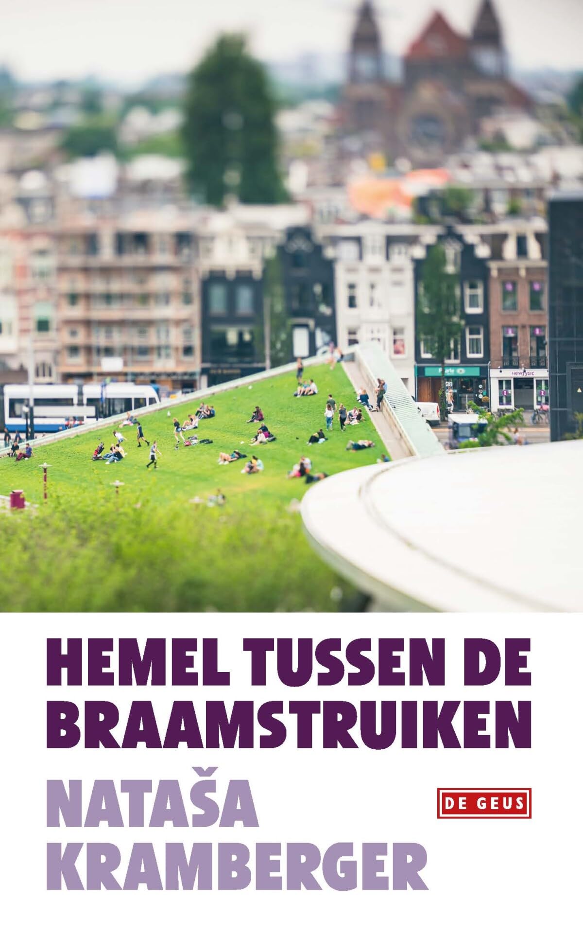 Hemel tussen de braamstruiken: roman in verhalen Contemporary literature