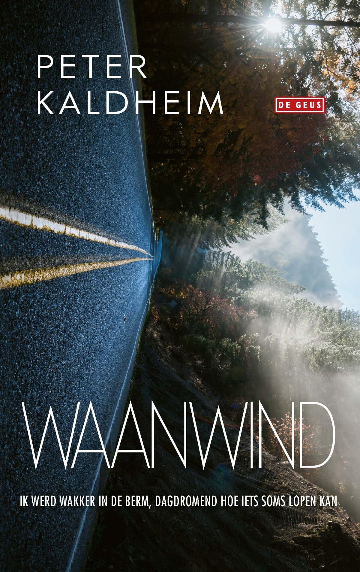 Waanwind: ik werd wakker in de berm, dagdromend hoe iets soms lopen kan book
