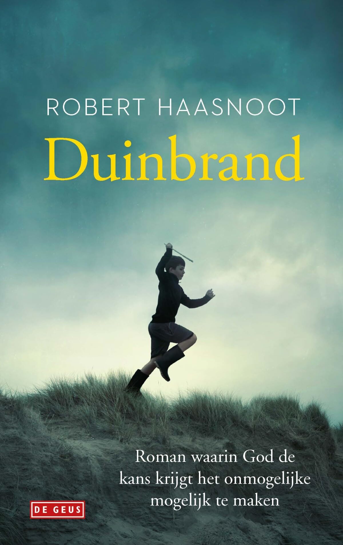 Duinbrand: roman book