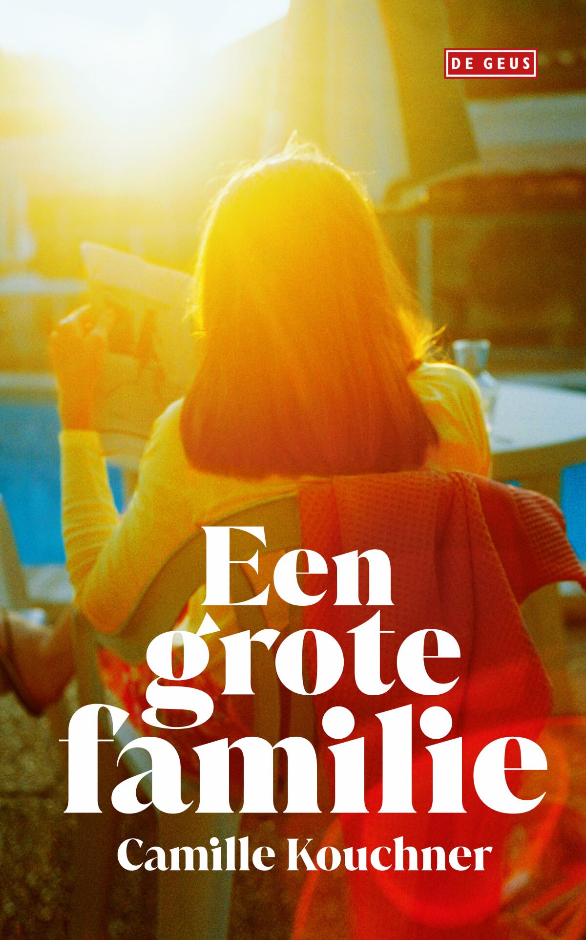 Een grote familie book