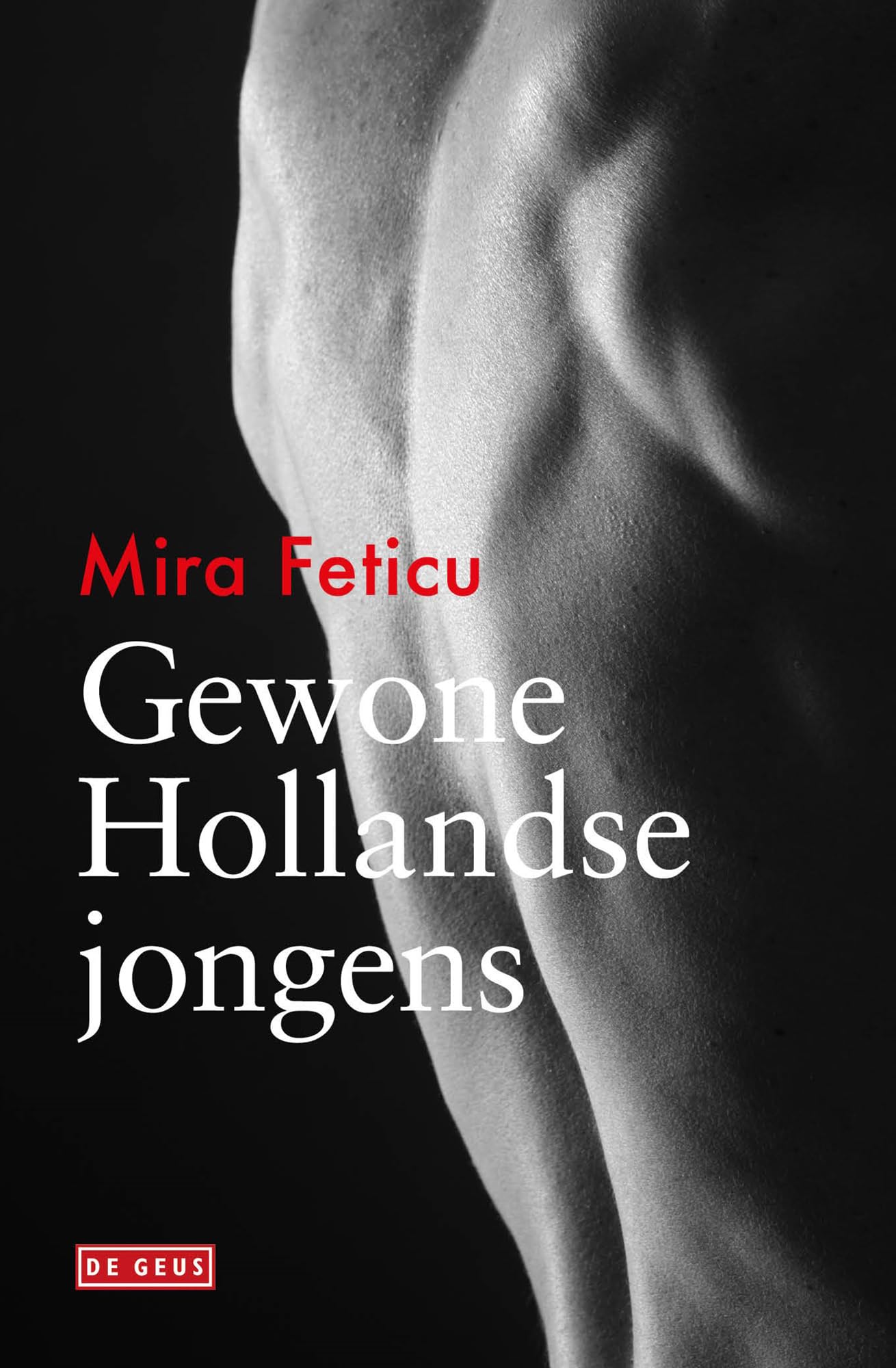 Gewone Hollandse jongens book