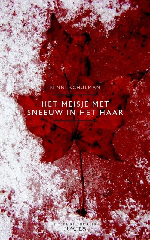 Het meisje met sneeuw in het haar book