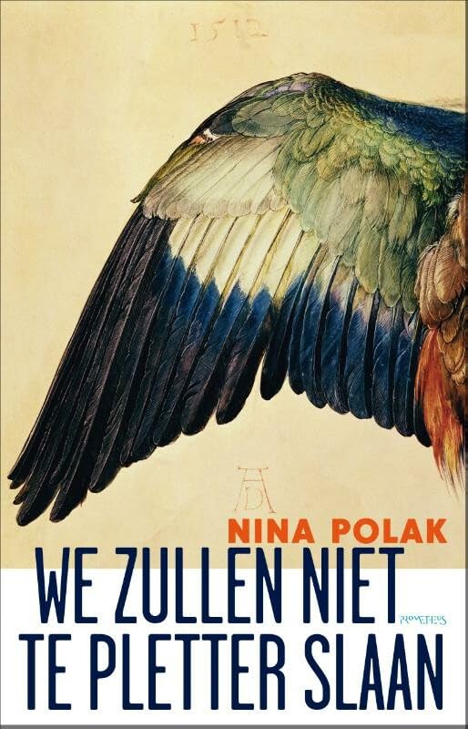 We zullen niet te pletter slaan Contemporary literature