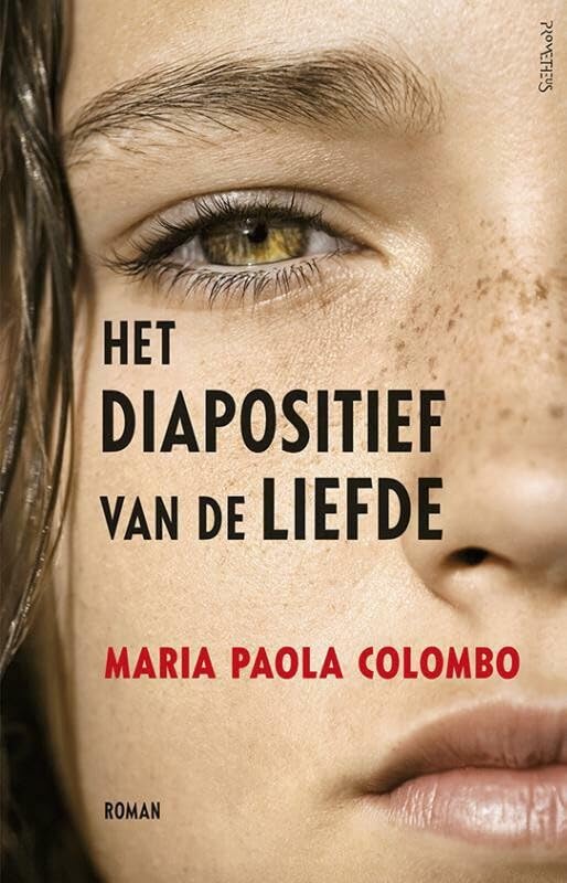 Het diapositief van de liefde book