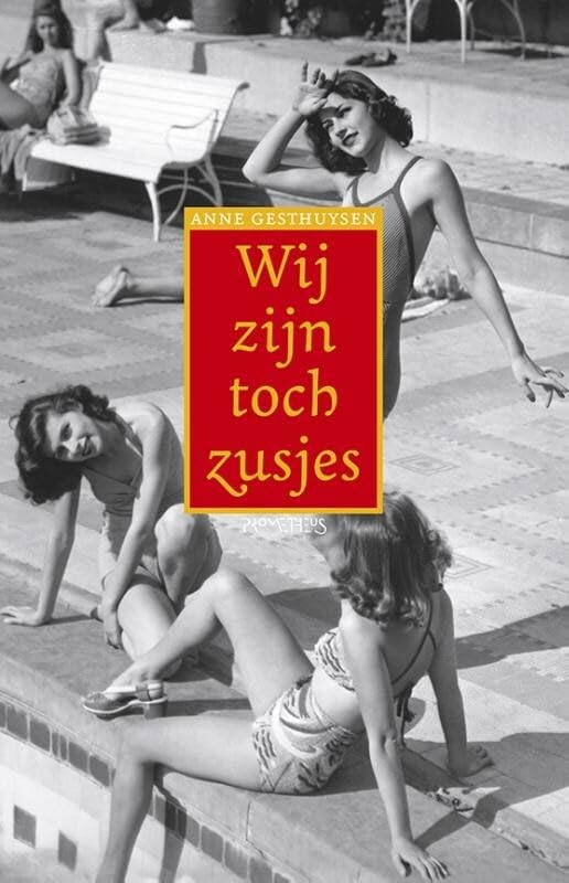 Wij zijn toch zusjes Contemporary literature