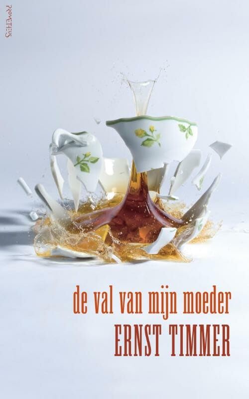 De val van mijn moeder: reconstructie van een gebeurtenis in 60 brokstukken book