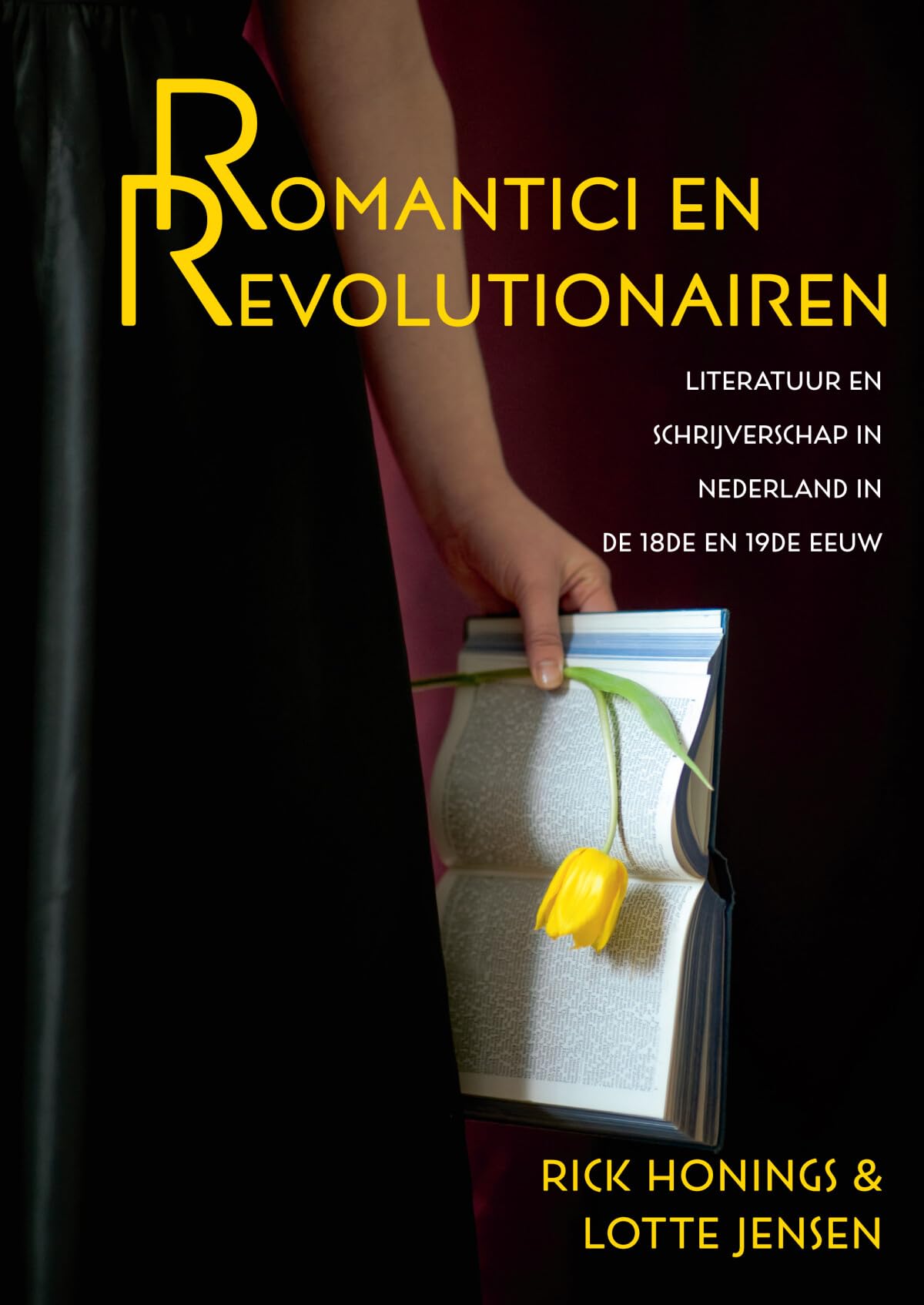 Romantici en revolutionairen: literatuur en schrijverschap in Nederland in de 18de en 19de eeuw book