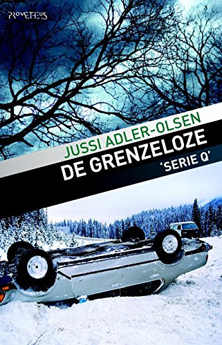 De grenzeloze (Serie Q, 6) Contemporary literature