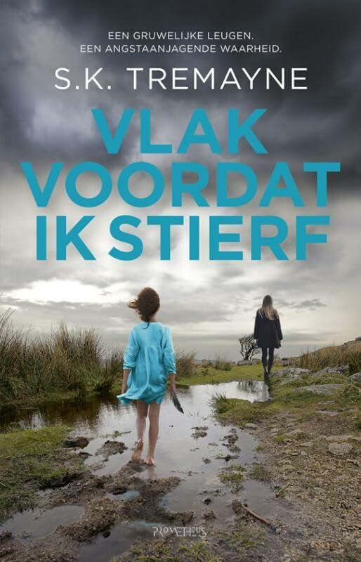 Vlak voordat ik stierf book