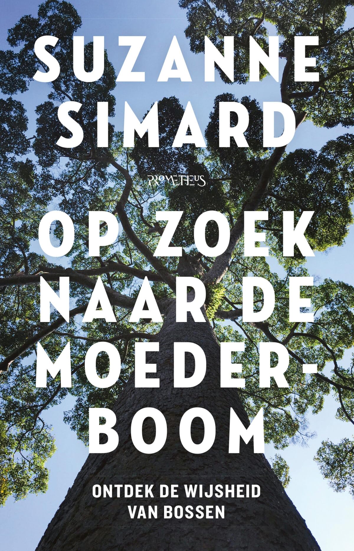 Op zoek naar de moederboom: ontdek de wijsheid van bossen book