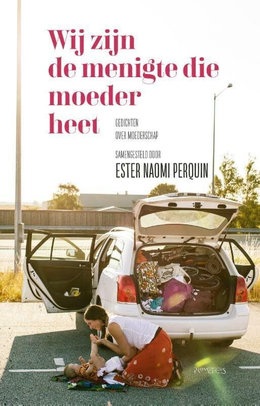Wij zijn de menigte die moeder heet book