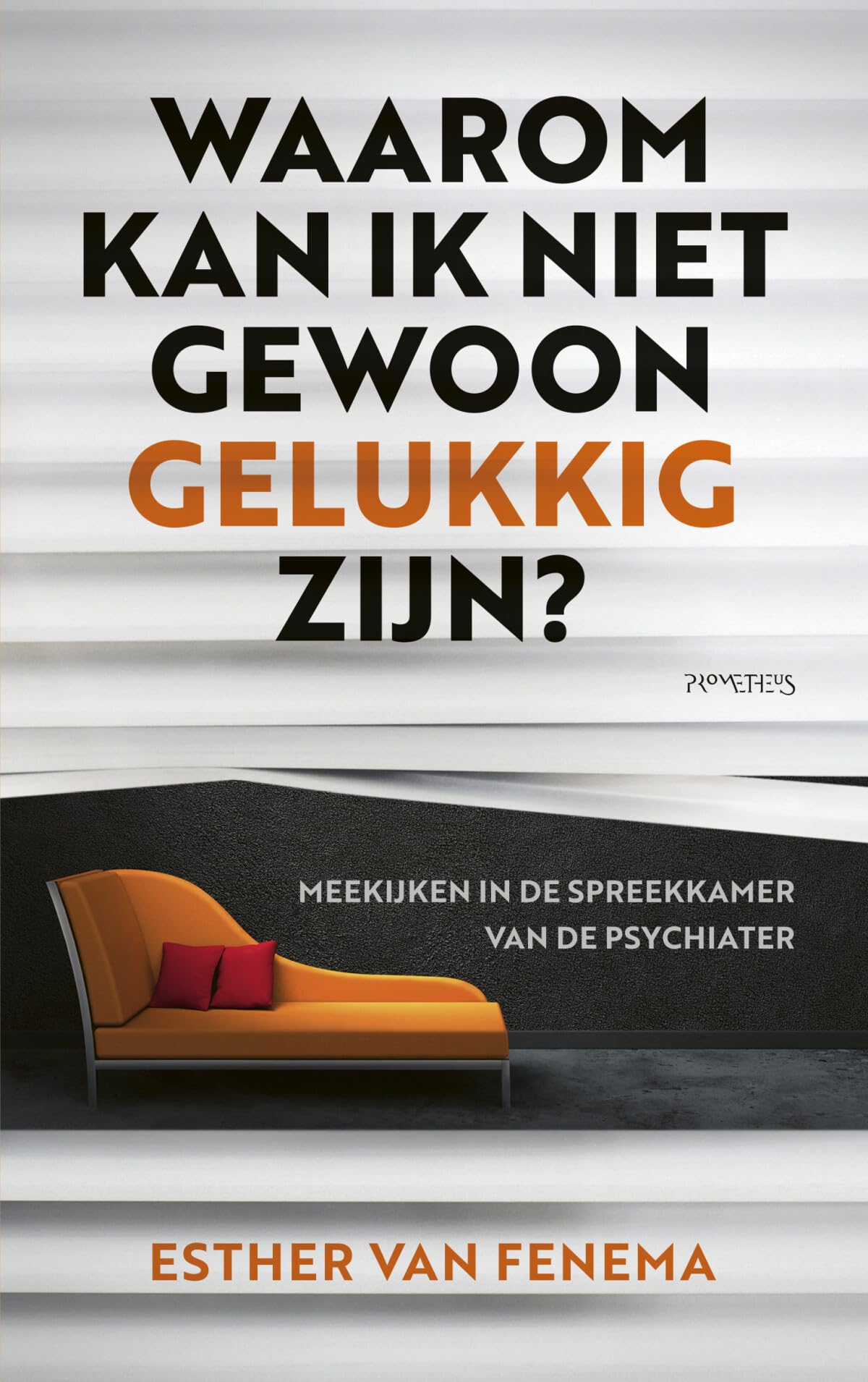Waarom kan ik niet gewoon gelukkig zijn?: meekijken in de spreekkamer van de psychiater Psychology