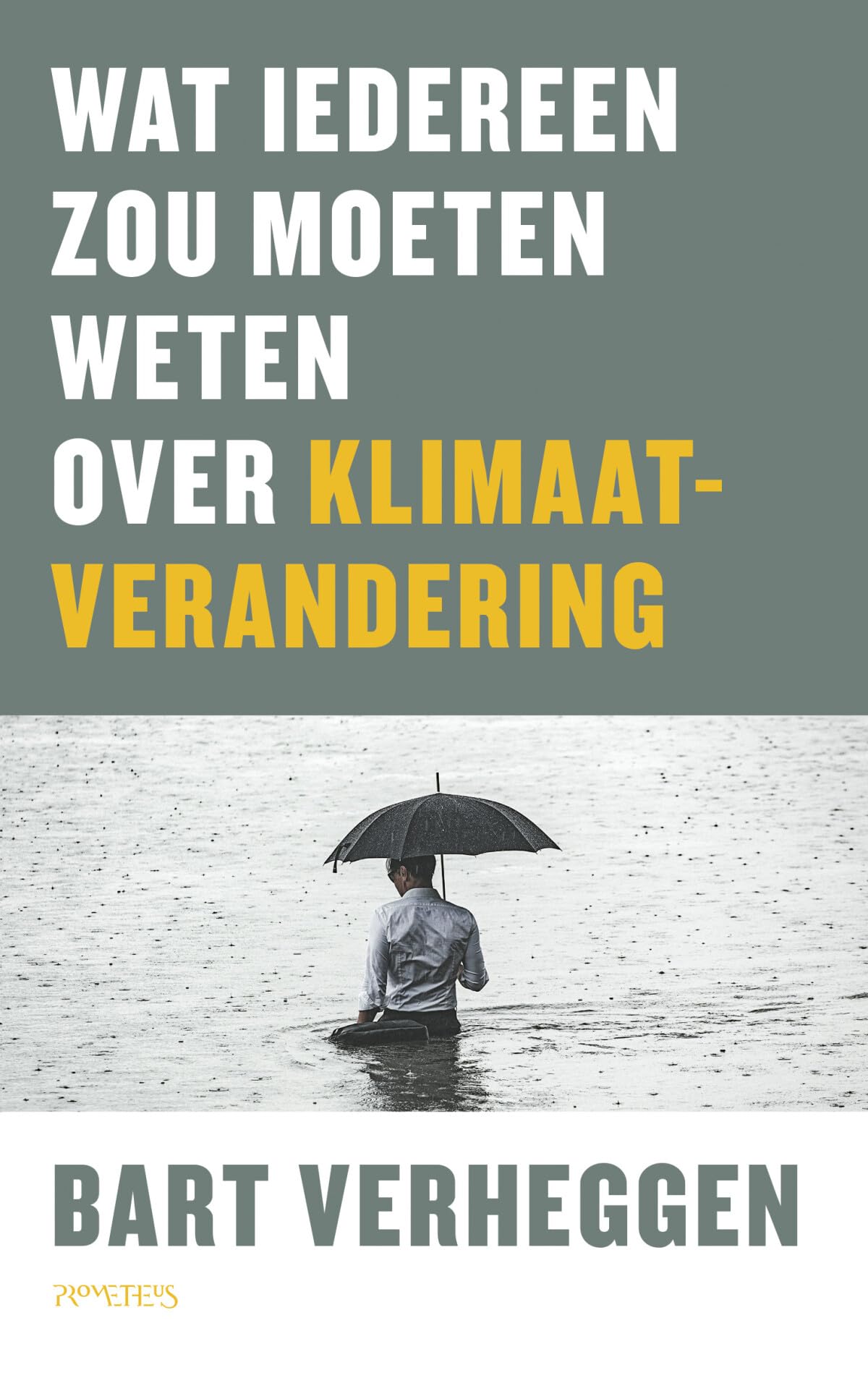 Wat iedereen zou moeten weten over klimaatverandering book