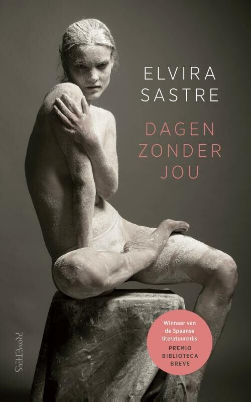 Dagen zonder jou book