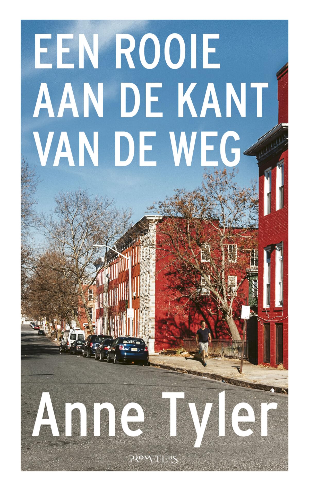 Een rooie aan de kant van de weg book