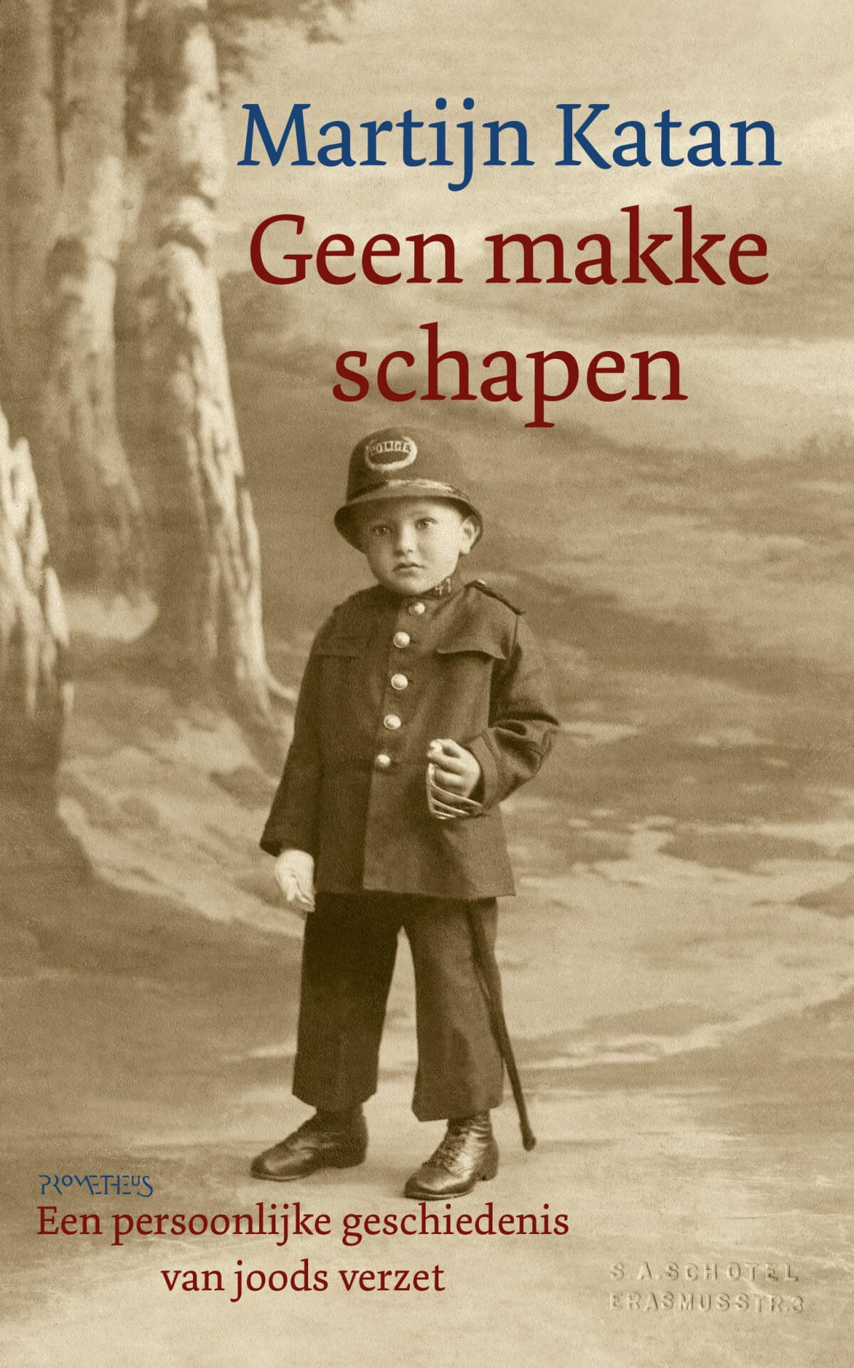 Geen makke schapen: een persoonlijke geschiedenis van joods verzet book