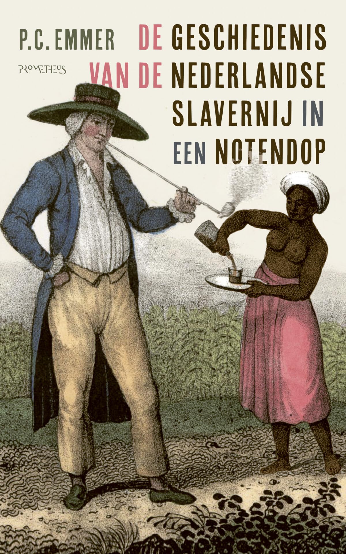 De geschiedenis van de Nederlandse slavernij in een notendop Social Sciences