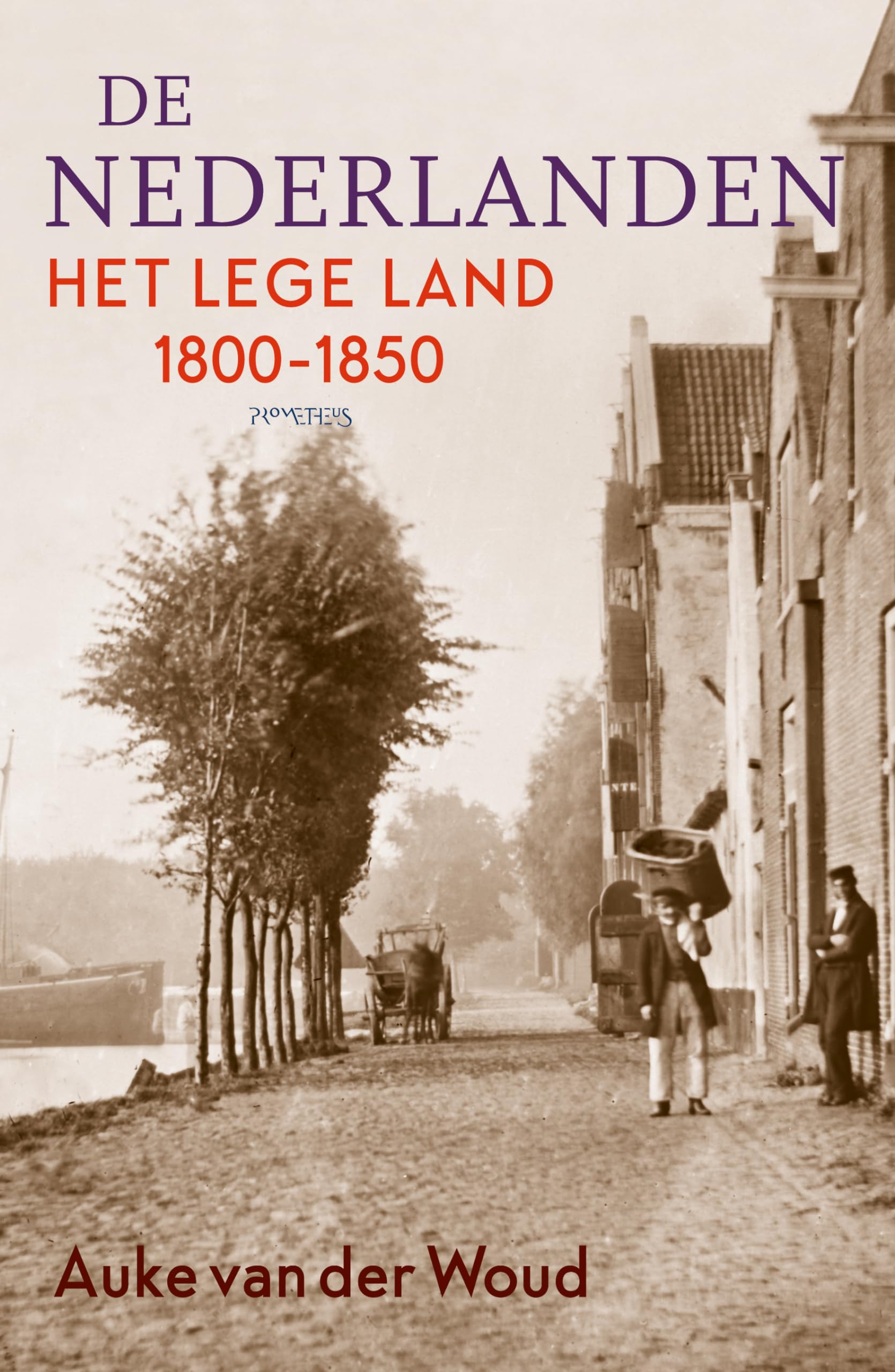 De Nederlanden: het lege land 1800-1850 book