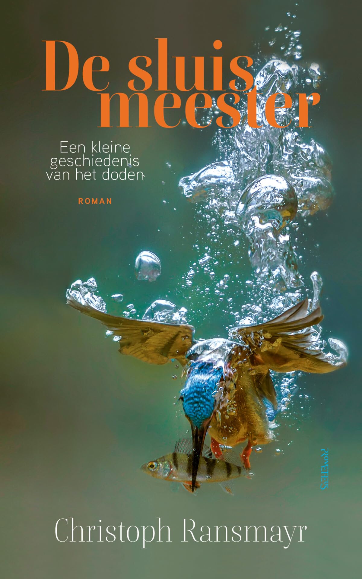 De sluismeester: een kleine geschiedenis van het doden book
