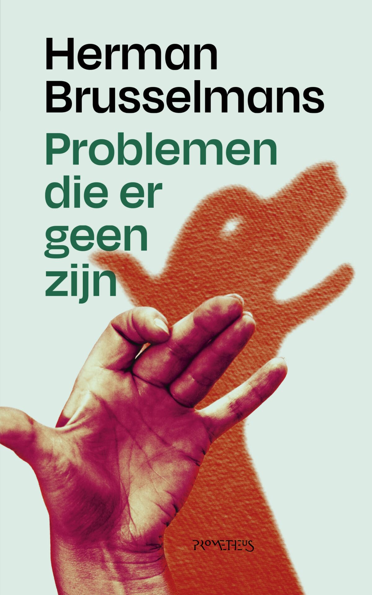 Problemen die er geen zijn book