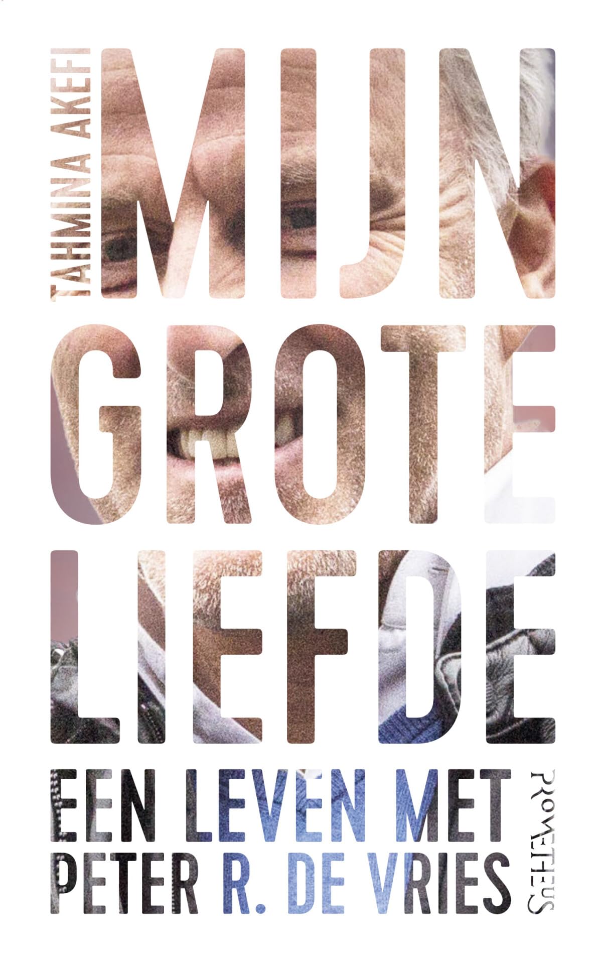 Mijn grote liefde: een leven met Peter R. de Vries book