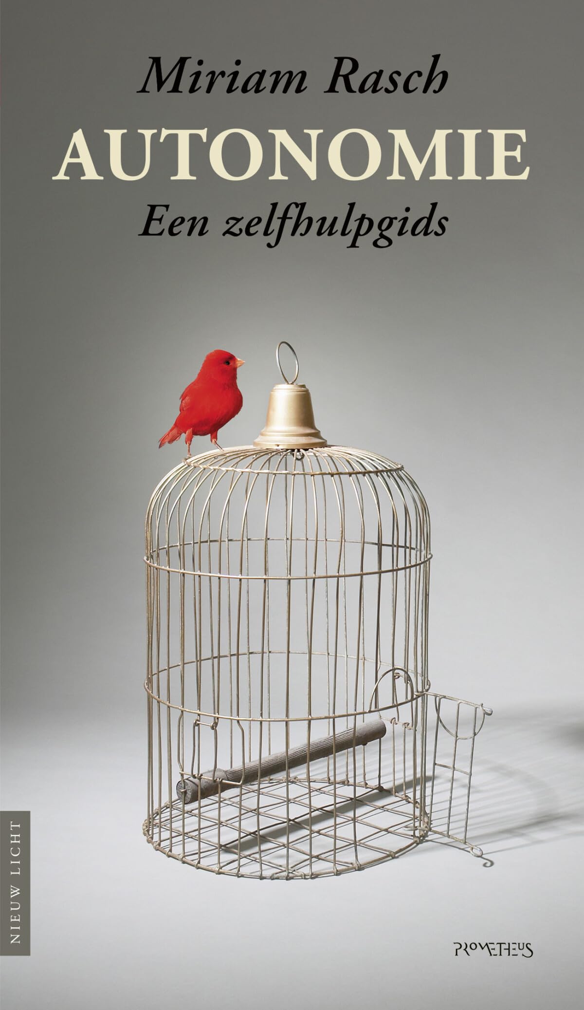 Autonomie: een zelfhulpgids (Nieuw licht) Philosophy
