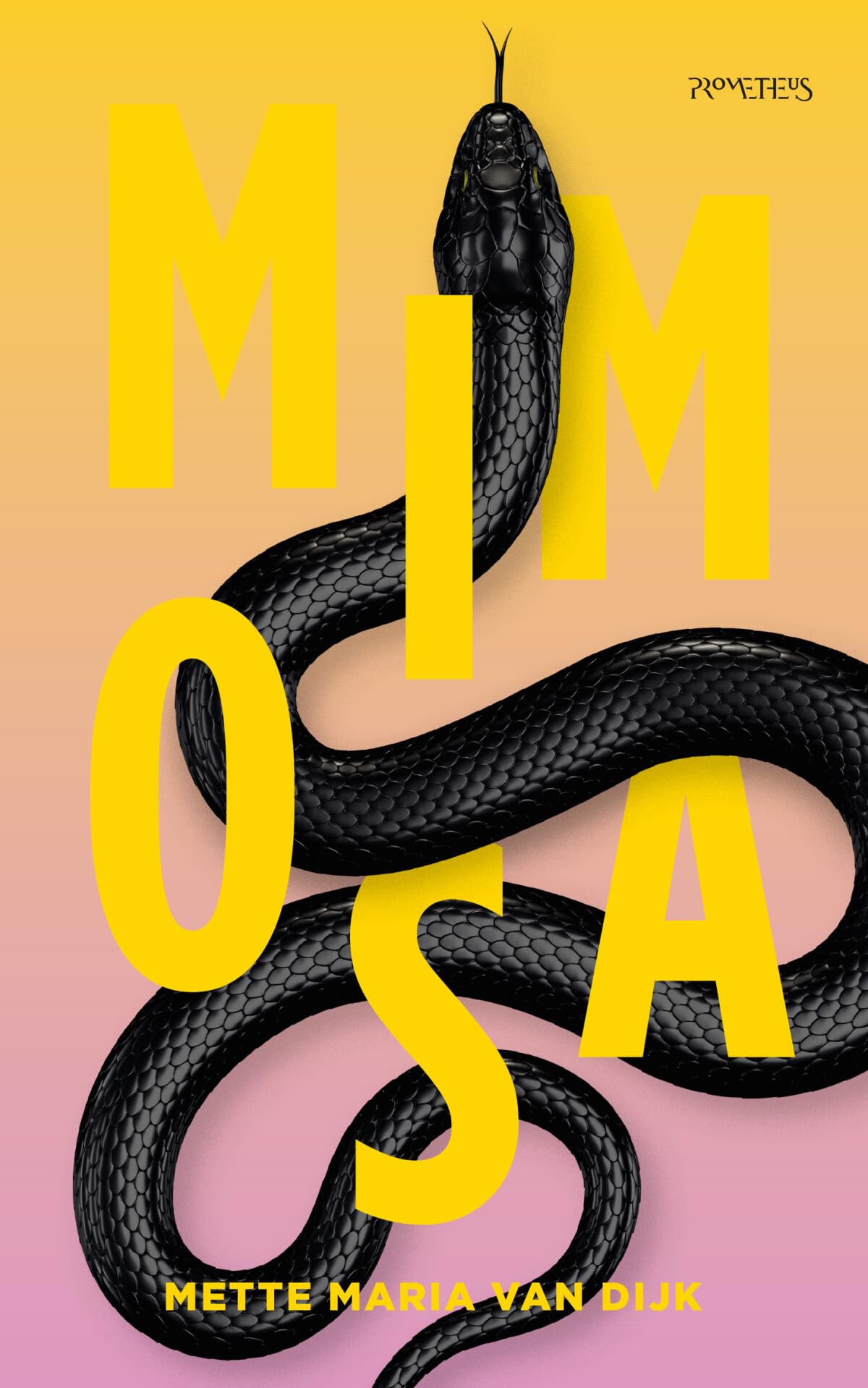 Mimosa Contemporary literature Books
