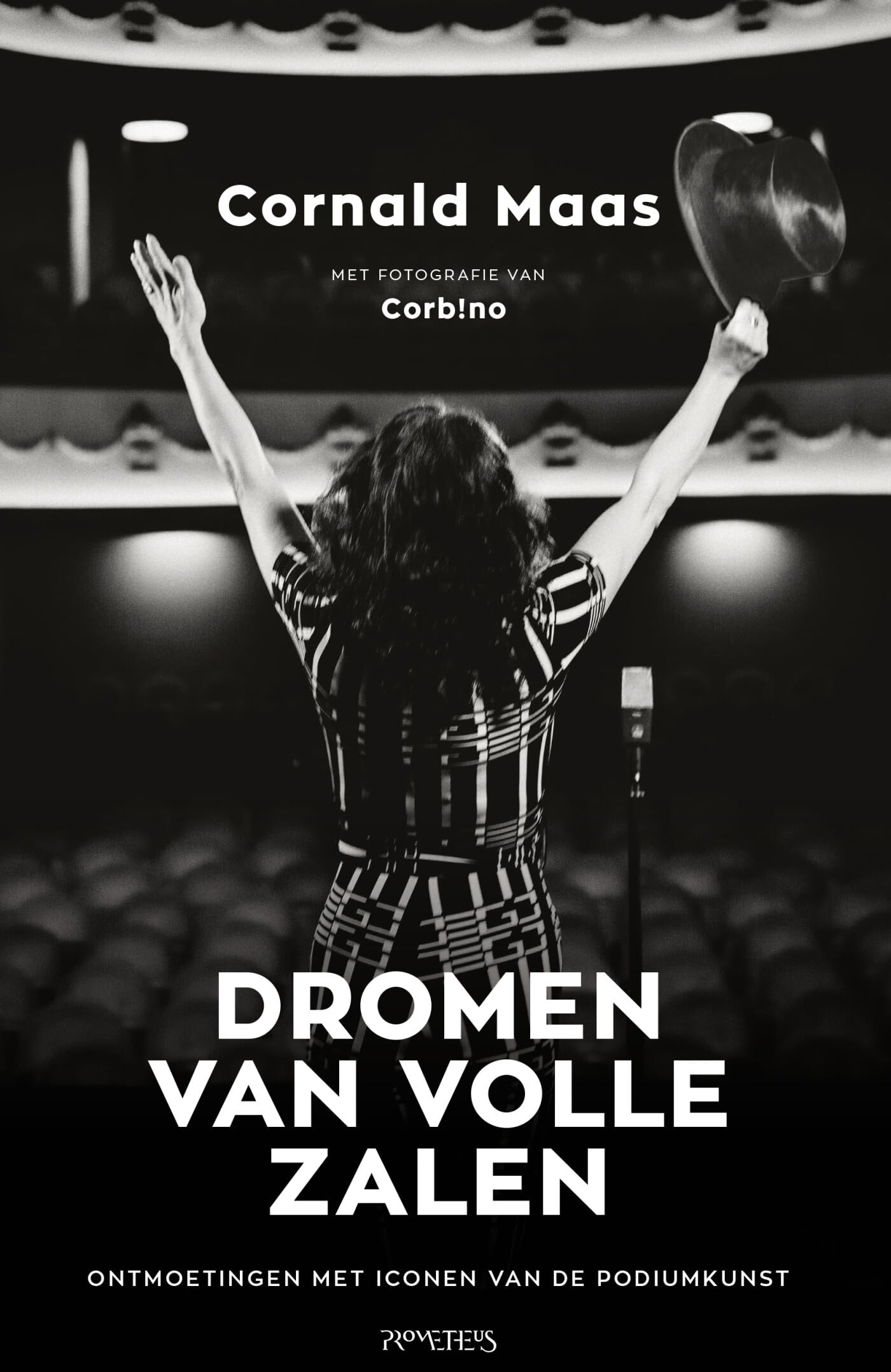 Dromen van volle zalen: ontmoetingen met iconen van de podiumkunst book