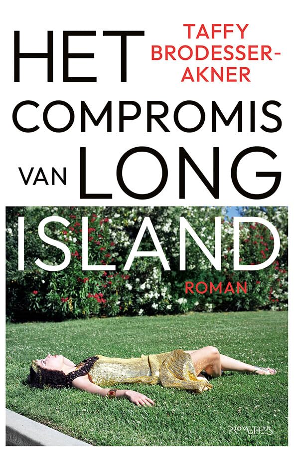 Het compromis van Long Island: een roman book