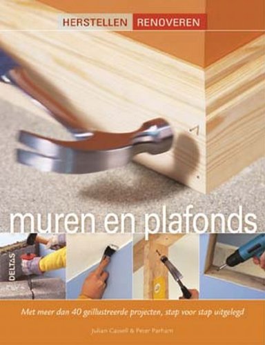 Muren en plafonds: Met meer dan 40 geïllustreerde projecten, stap voor stap uitgelegd. book