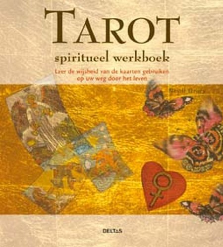 Spiritueel werkboek - Tarot: Leer de wijsheid van de kaarten gebruiken op de weg door het leven book