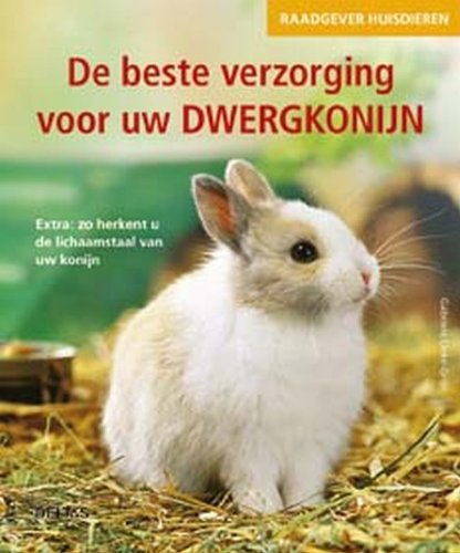 Raadgever huisdieren De beste verzorging voor uw dwergkonijn: Extra: zo herkent u de lichaamstaal van uw konijn Pets
