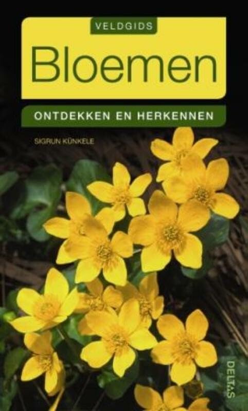 Bloemen: ontdekken en herkennen (Veldgids) Leisure, Home & Garden