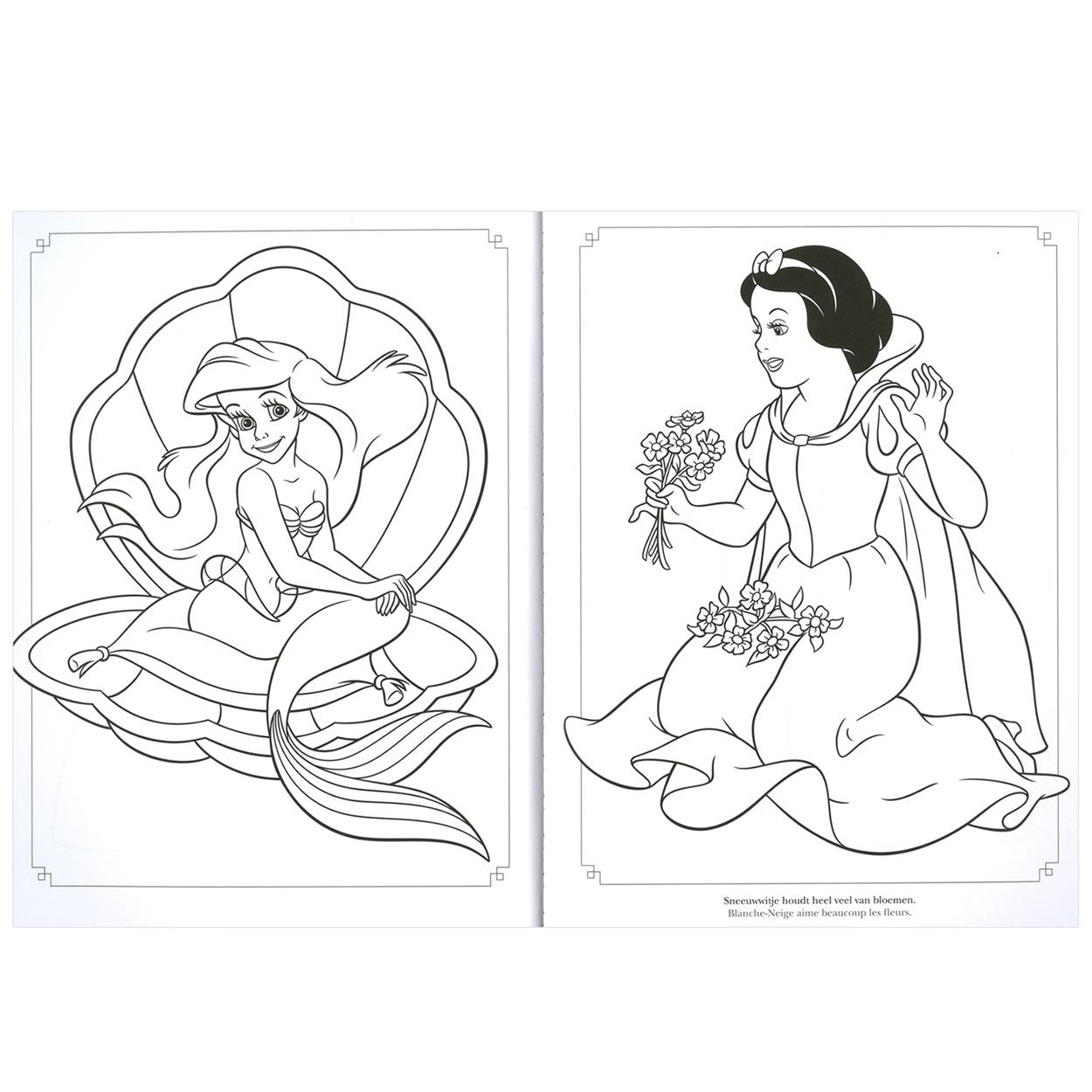 Disney Domino Colorama Princess (Disney Prinsessen) Tiptoi & Games
