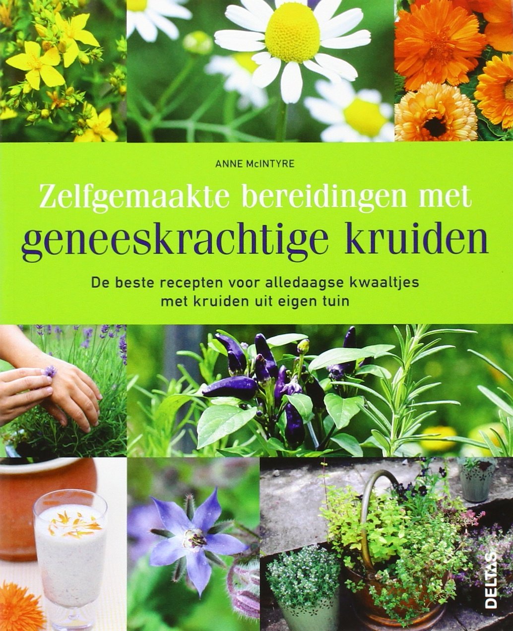 Zelfgemaakte bereidingen met geneeskrachtige kruiden: De beste recepten voor alledaagse kwaaltjes met kruiden uit eigen tuin book