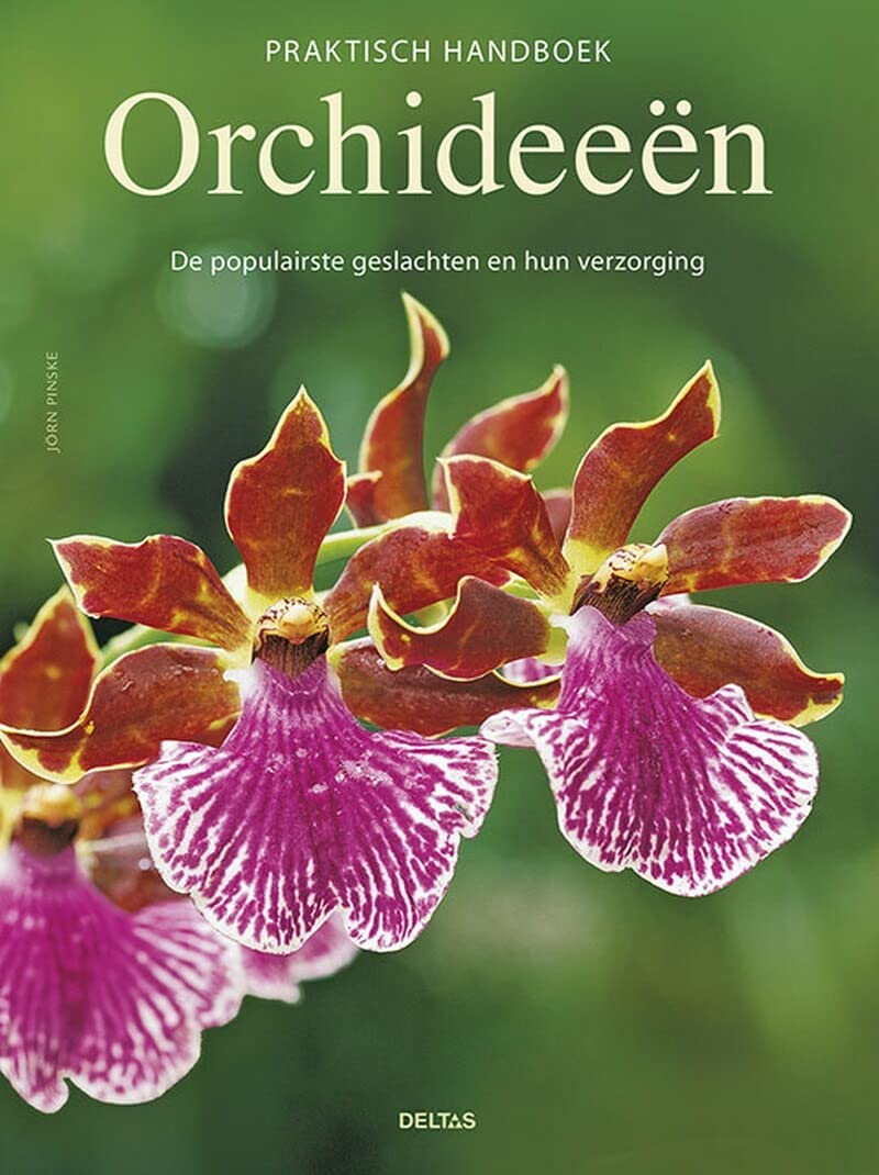 Praktisch handboek orchideeen: de populairste geslachten en hun verzorging Garden & Plants