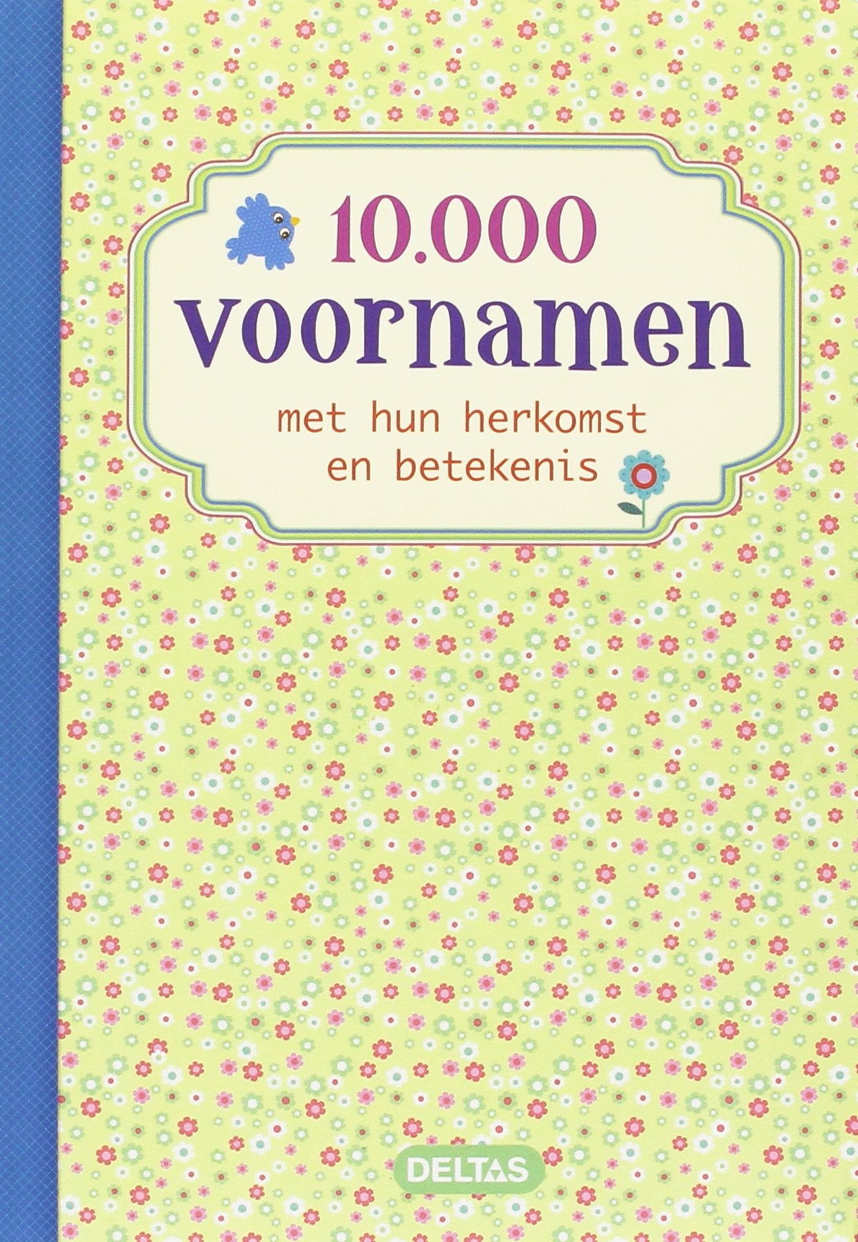 10000 voornamen: met hun herkomst en betekenis book