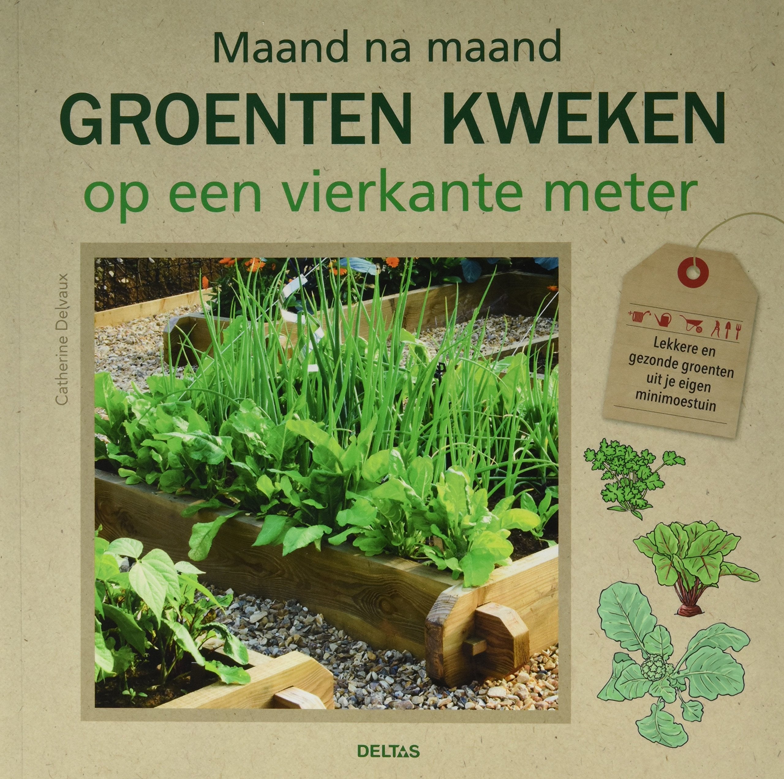 Maand na maand groenten kweken op een vierkante meter Garden & Plants