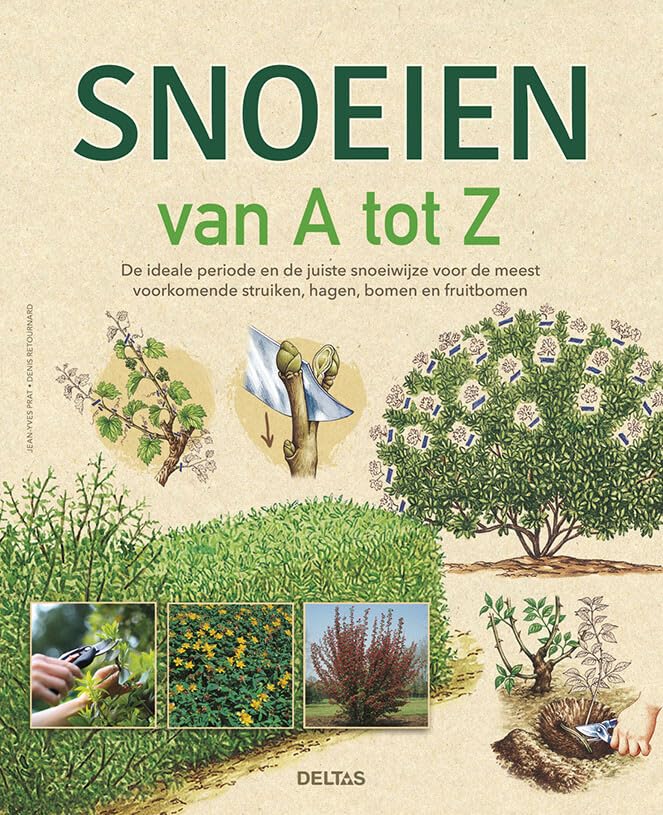 Snoeien van A tot Z: de ideale periode en de juiste snoeiwijze voor de meest voorkomende struiken, hagen, bomen en fruitbomen Leisure, Home & Garden