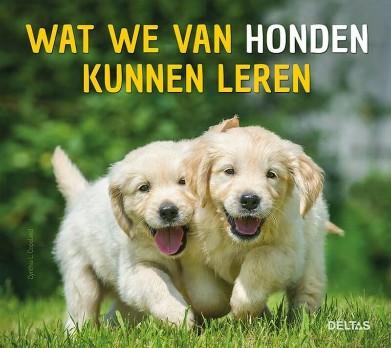 Wat we van honden kunnen leren Lifestyle