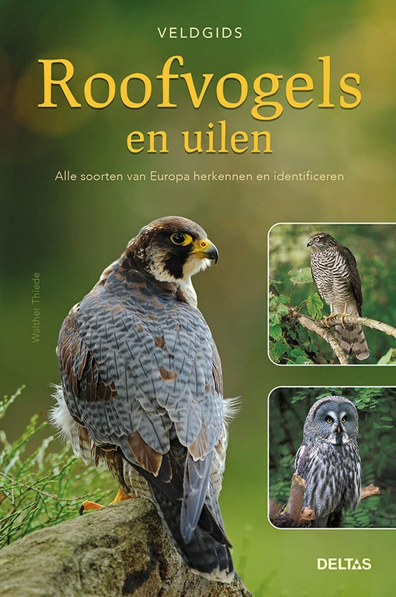 Veldgids roofvogels en uilen: alle soorten van Europa herkennen en identificeren Natural Sciences