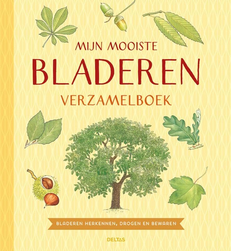 Mijn mooiste bladeren verzamelboek: Bladeren herkennen, drogen en bewaren book