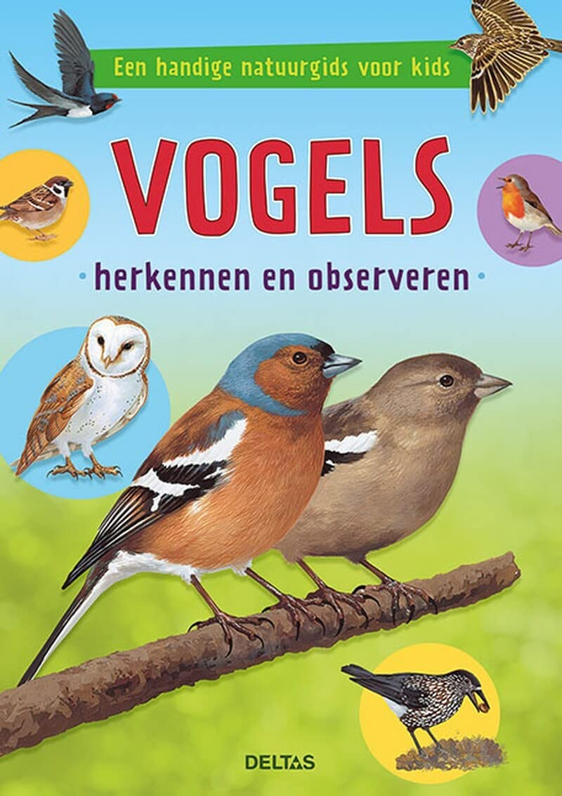 Vogels herkennen en observeren: een handige natuurgids voor kids Leisure, Home & Garden