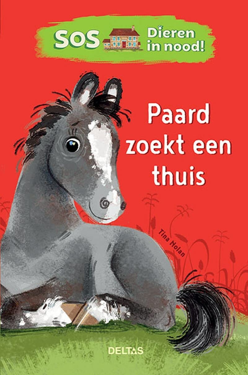 Paard zoekt een thuis book