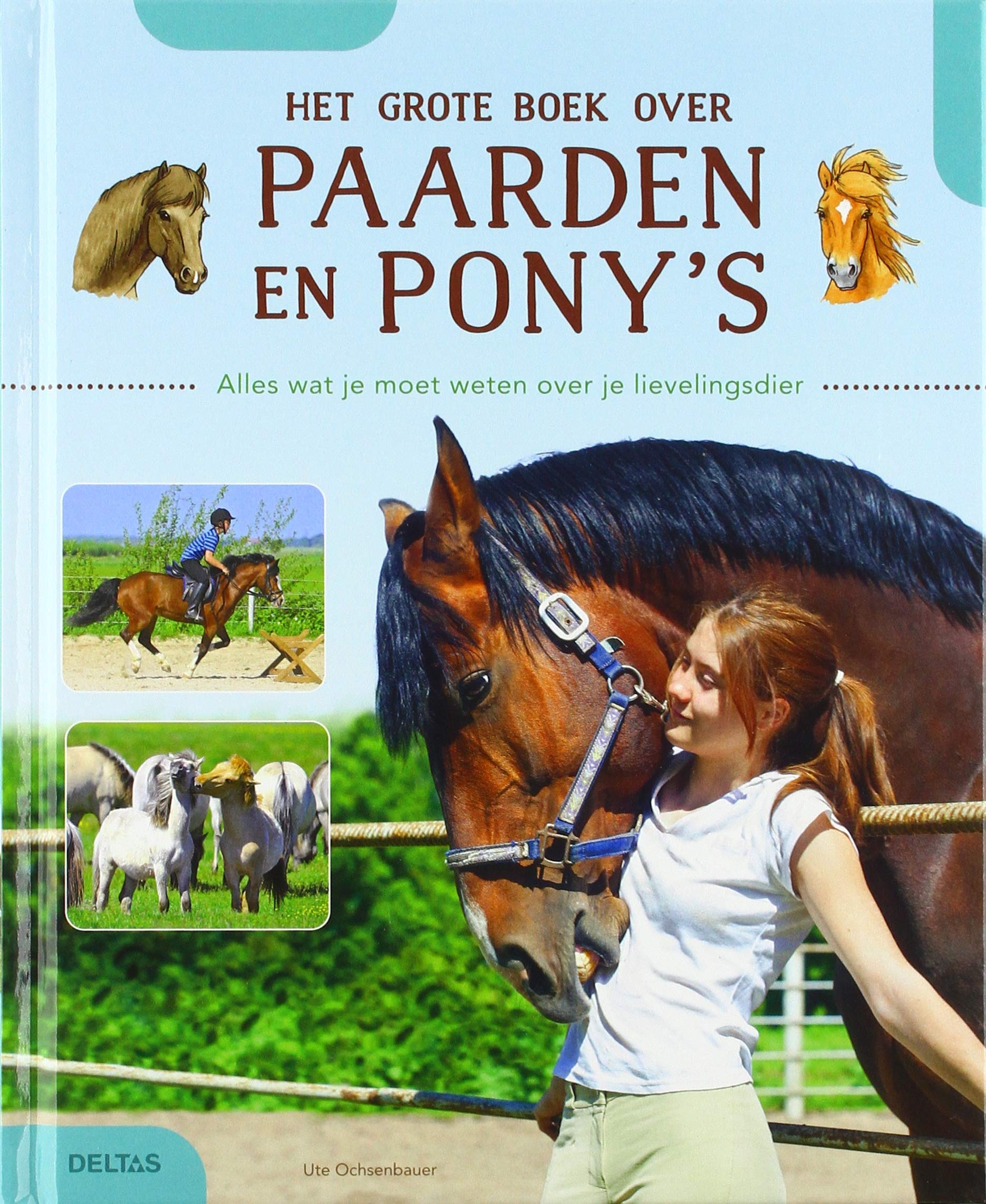 Het grote boek over paarden en pony's: alles wat je moet weten over je lievelingsdier Non-fiction