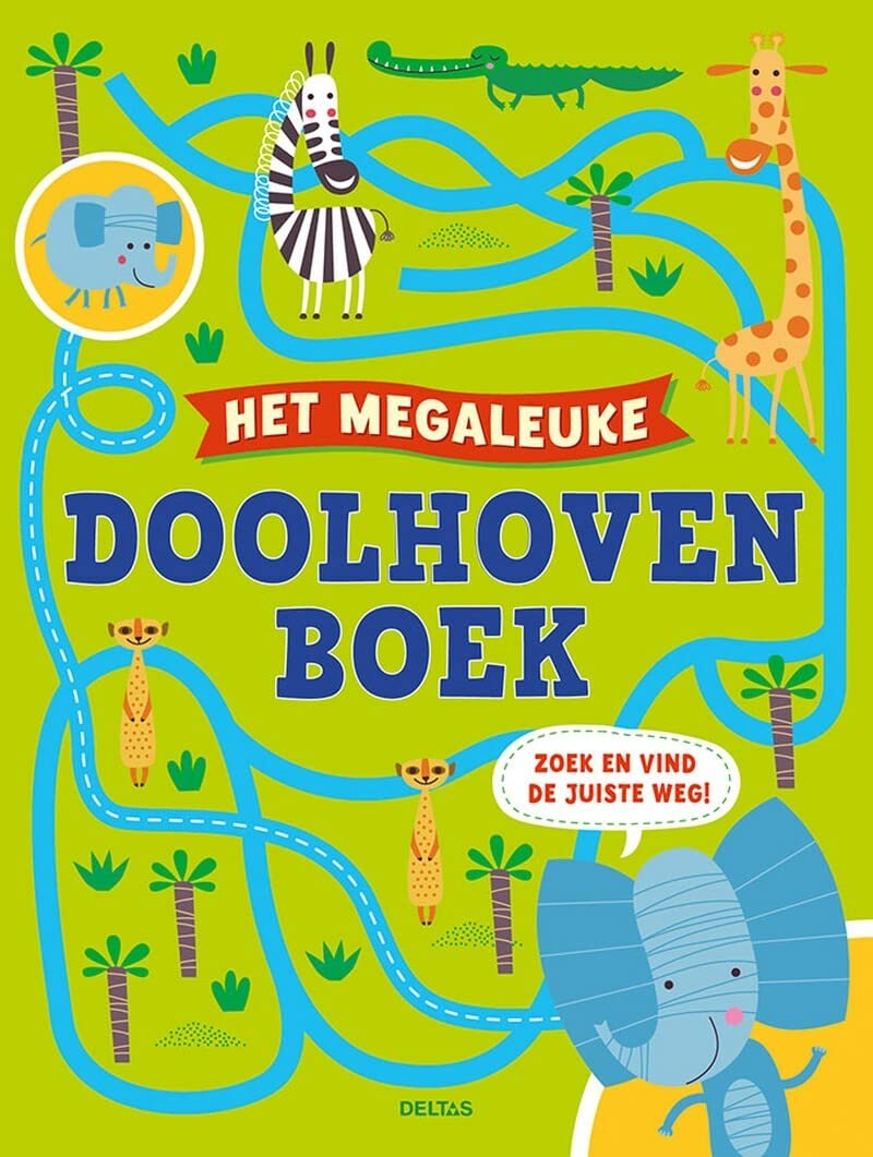 Het megaleuke doolhovenboek: Zoek en vind de juiste weg! book