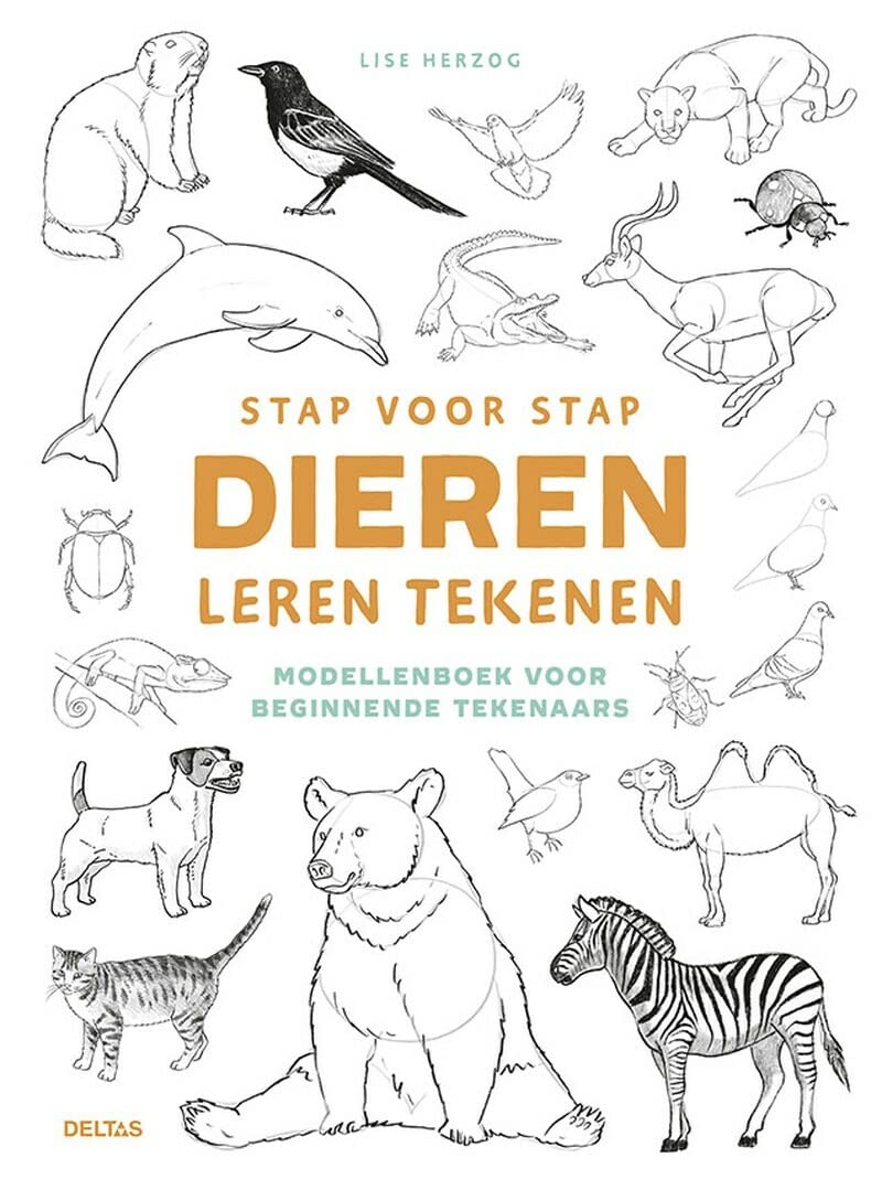 Stap voor stap dieren leren tekenen: modellenboek voor beginnende tekenaars Film, Art & Culture